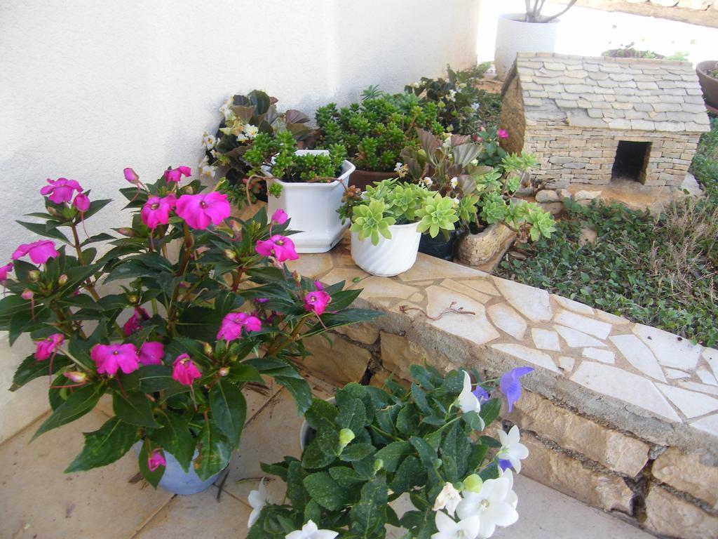 Apartment Maslina *