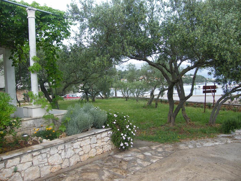 Maslina Apartment