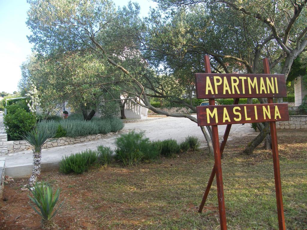 Apartment Maslina Lumbarda