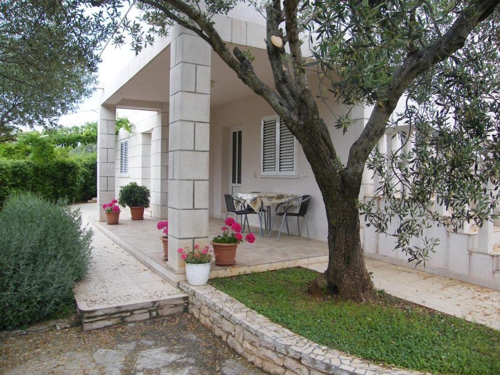 Maslina Apartment